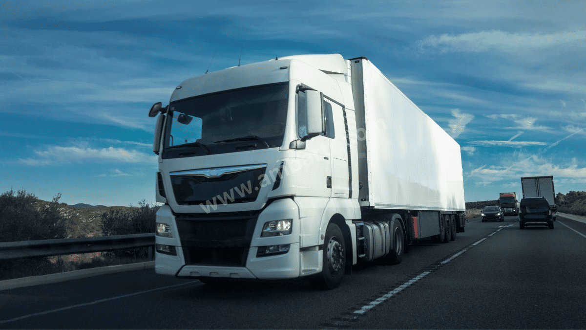 Doğanyurt Şehirler Arası Taşıma